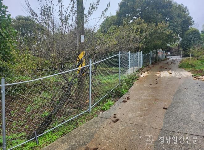 하동군, 야생동물 피해 예방시설 설치지원…최대 500만 원