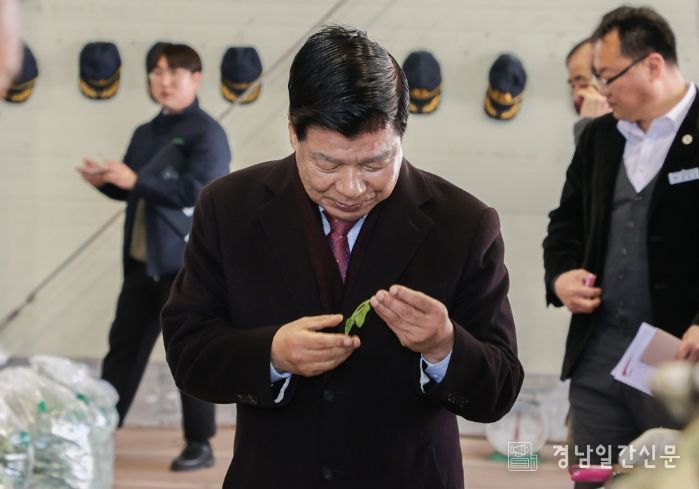 고성군수, 2025년 취나물 초매식 참관