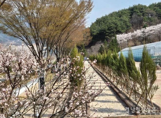 거창사건추모공원, 모래 맨발길 시범운영 개시