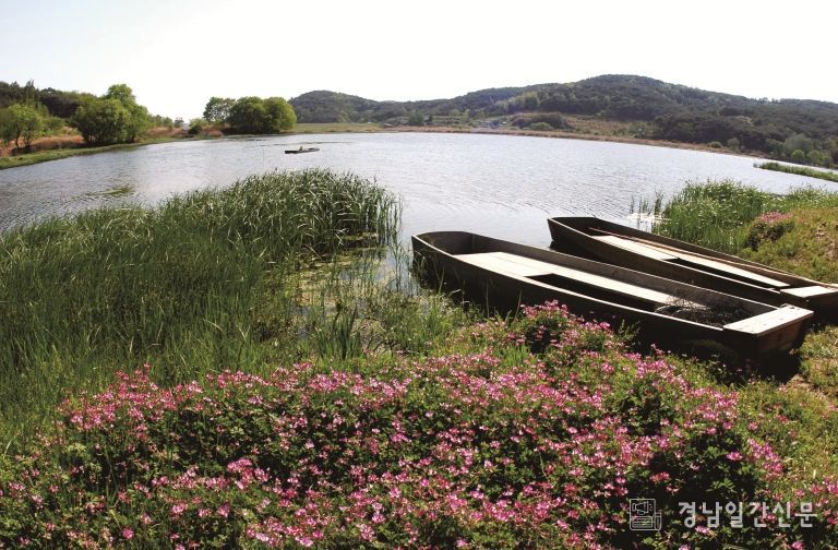 우포늪 전경사진