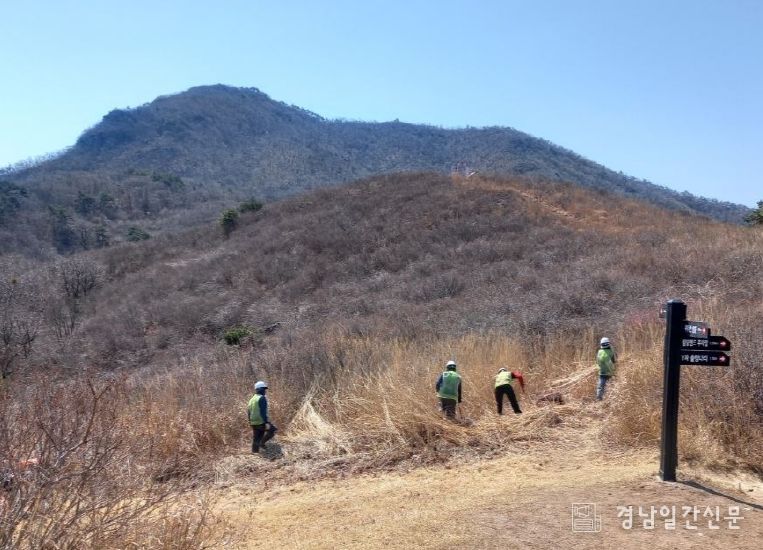 거창군 가조면, 우두산 마장재 철쭉군락지 정비
