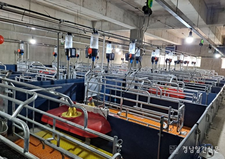 축산시설 현대화 사업이 완료된 축사 전경