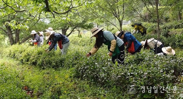 스케일업 프로젝트