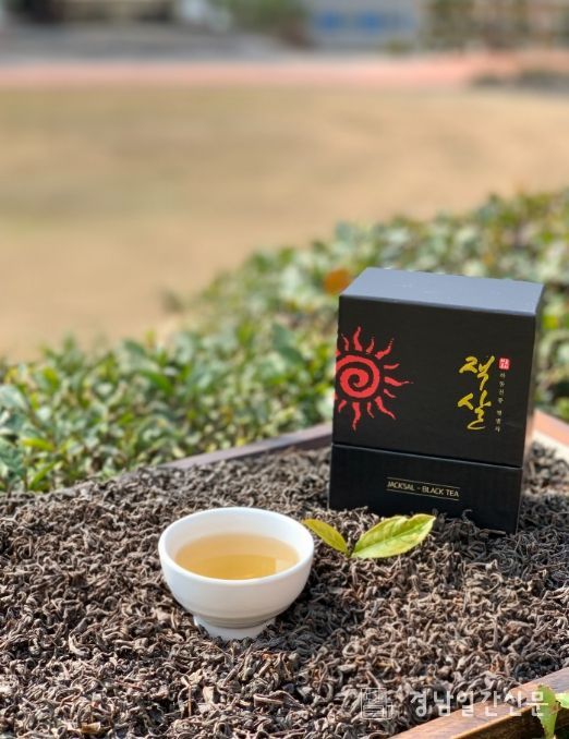 하동홍차 ‘잭살’ 상품화