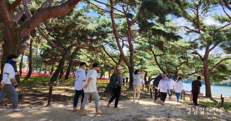 ‘자연을 걷다, 건강을 얻다’ 하동송림 공원에서 맨발 힐링