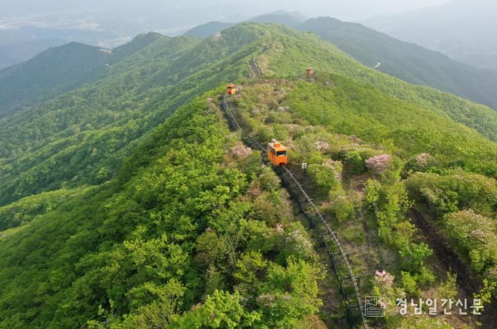 대봉산휴양밸리 봄 모노레일