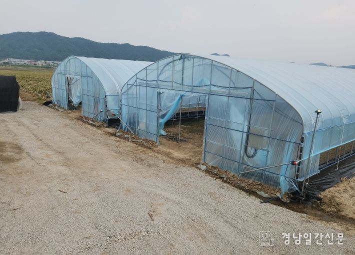 여름철 장마·집중호우 대비 철저