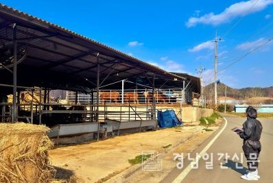 창녕군, 여름철 축산재해 예방 위해 10억 원 지원