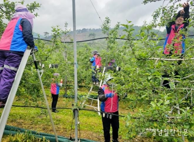 함양군생활개선회, 회원 농가 찾아 일손 돕기 펼쳐