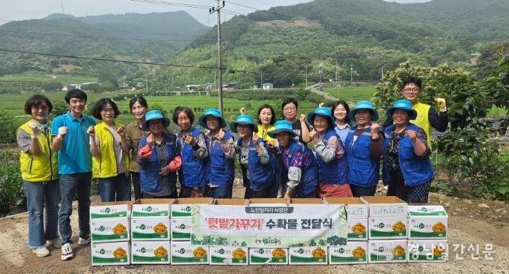 하동시니어클럽, 텃밭 가꿔 수확한 감자 이웃에 나눠