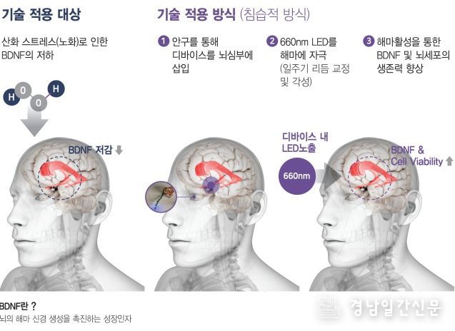 김해의생명산업진흥원, 올해 의생명 기업지원 18억원 투입, 67개사 협약 “동남권 K-바이오헬스 생태계 거점” 역할 톡톡!