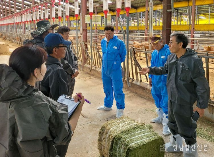 창녕군, 축산농가 대상 종합컨설팅