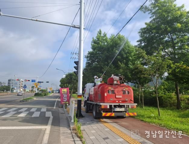 사천시, 여름철 가로수 병해충 2차 방제 실시