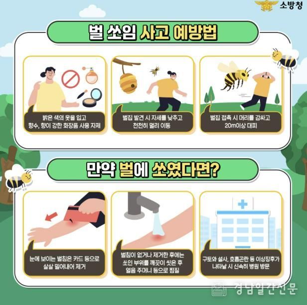 거창소방서, 여름철 벌 쏘임 사고 급증... 예방법 홍보