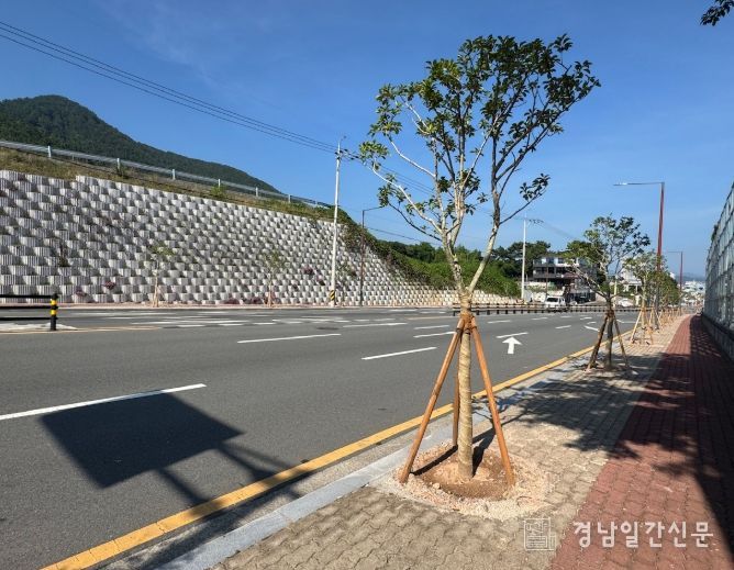 가로수 조성사업 완료