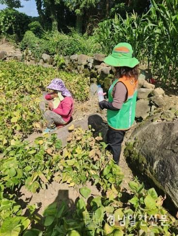 남해군 자율방재단, 폭염 피해 예방 활동