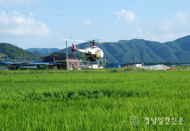 “벼농사에 무인헬기??”합천군, 스마트 병해충 방제 시작