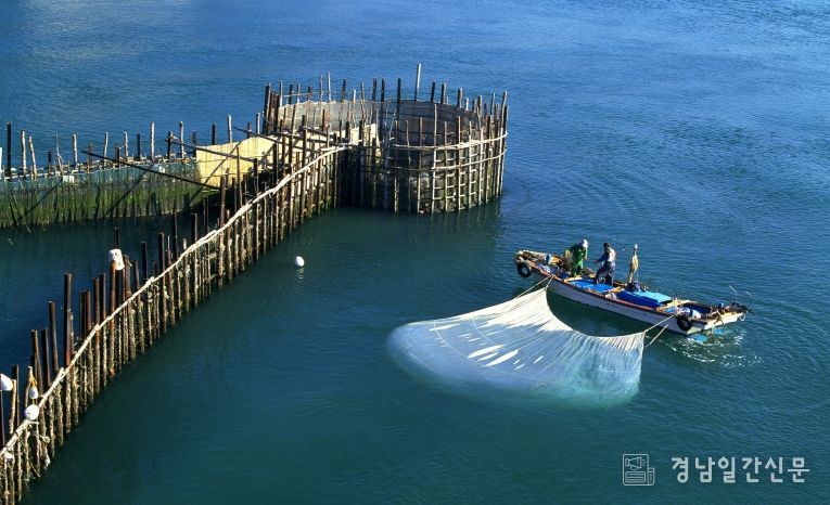 죽방렴과개불잡이