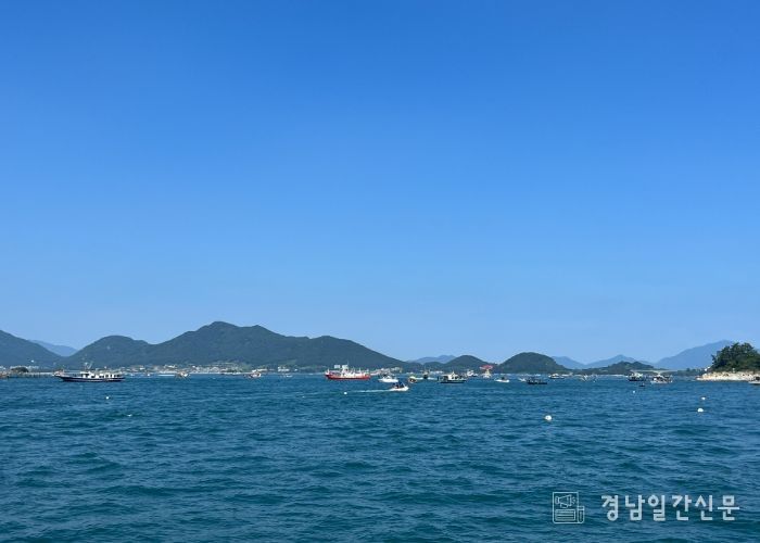 문어 금어기 해제 첫날, 전국의 강태공 문전성시