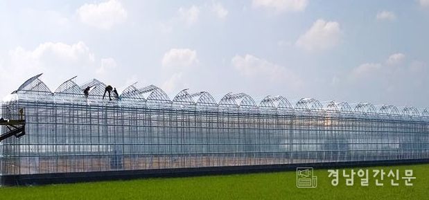 2026년 시설원예분야 지원사업 수요조사 실시