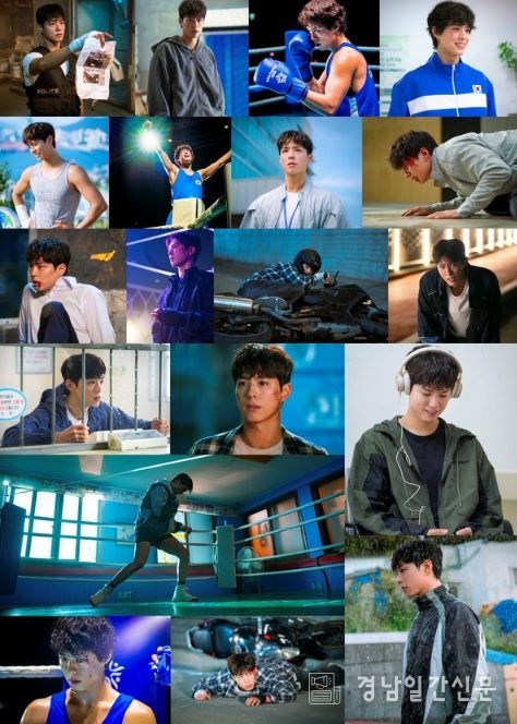 사진제공= SLL, 스튜디오앤뉴, 드라마하우스스튜디오