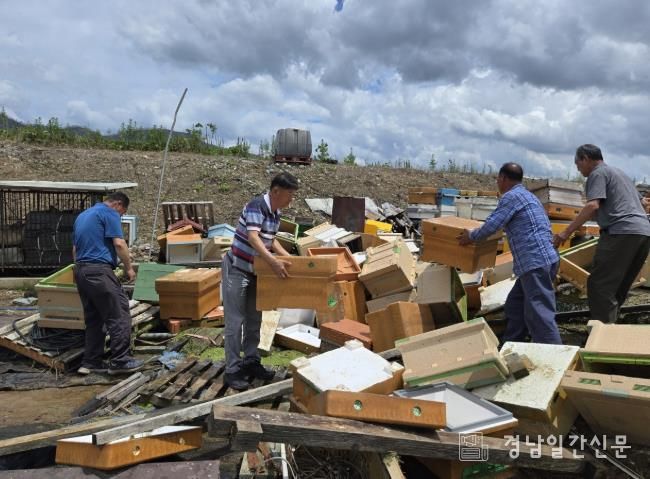 양봉협회 밀양시지부 회원들이 수해 피해를 입은 부북면 청운리 양봉농가를 찾아 벌통 정리 등 복구 작업을 진행하고 있다.