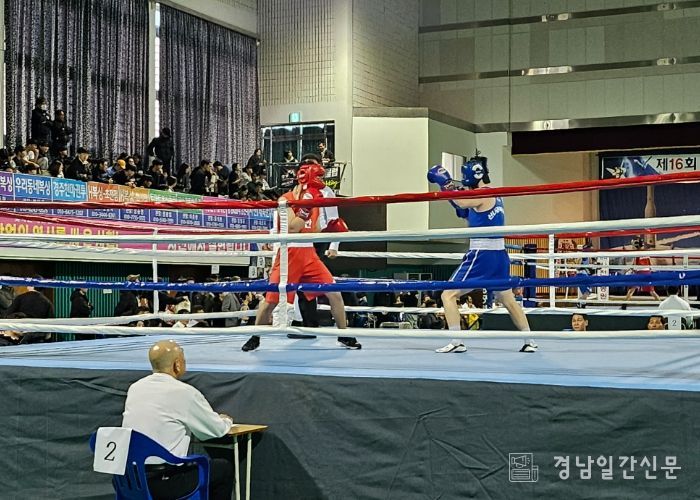 전국의 복싱 유망주들, 사천에 모인다!