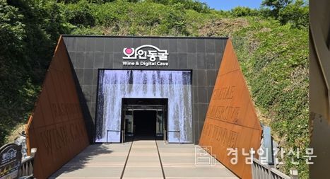와인동굴 미디어콘텐츠