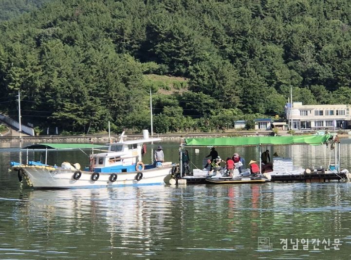 해양쓰레기 정화사업