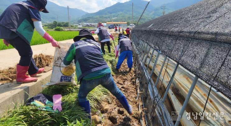 창원시 여성민방위기동대가 합천군 수해 현장에서 복구활동에 구슬땀을 흘리고 있다.