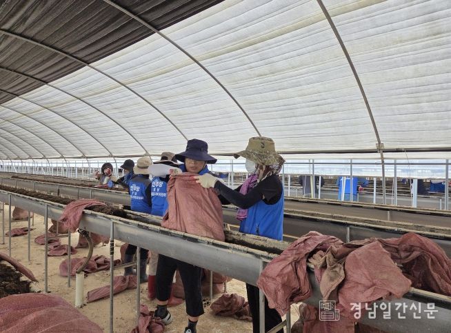 더불어민주당 국회의원