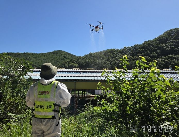 공동방제단 동원 및 드론 소독