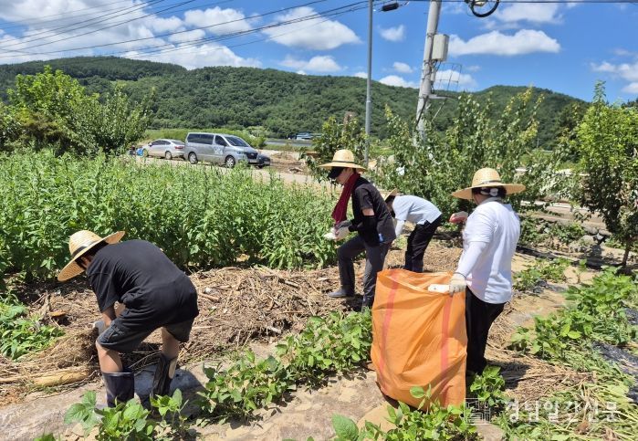 수해지역 복구 자원봉사활동학교밖청소년 산청 자원봉사
