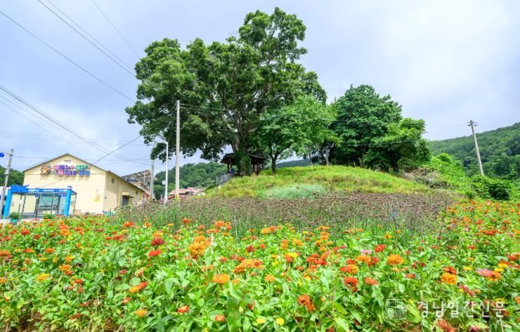 남해군, 주민이 행복한 마을만들기‘설천면 용강마을’주목
