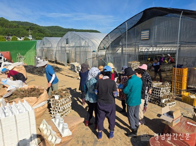합천군 생활지원사, 폭우 피해 농가에 온정의 손길..