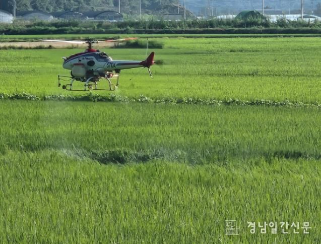 거창군 남상면, 벼 병해충 2차 항공방제 실시