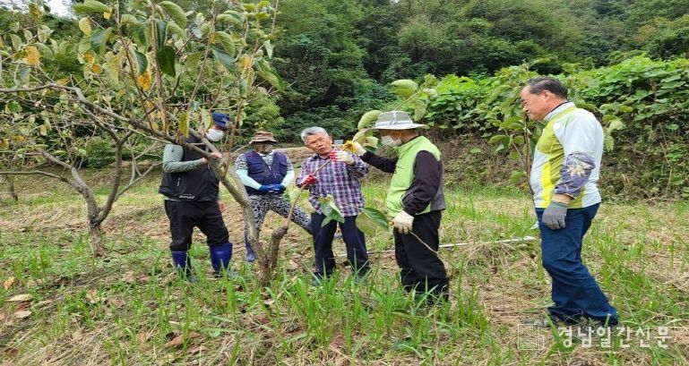 (농촌에서 살아보기 참가자 모집