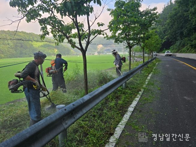 합천군 대양면 안금리 청년회, 마을 환경정화