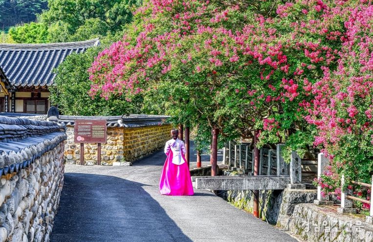 고려동 유적지, 붉게 핀 배롱나무와 어우러진 고즈넉한 풍경