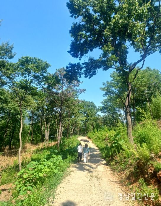 자연 그대로 “걷기 좋은 숲길”로 재탄생