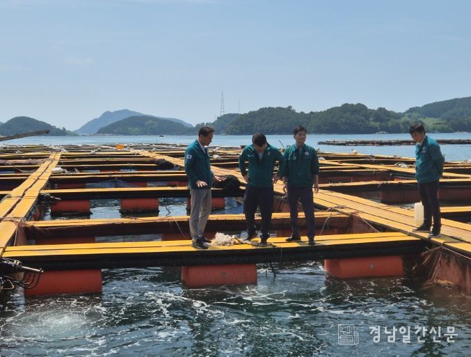 고수온 피해 대응에 행정력 집중