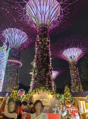 221226 싱가포르_슈퍼트리_공무국외출장