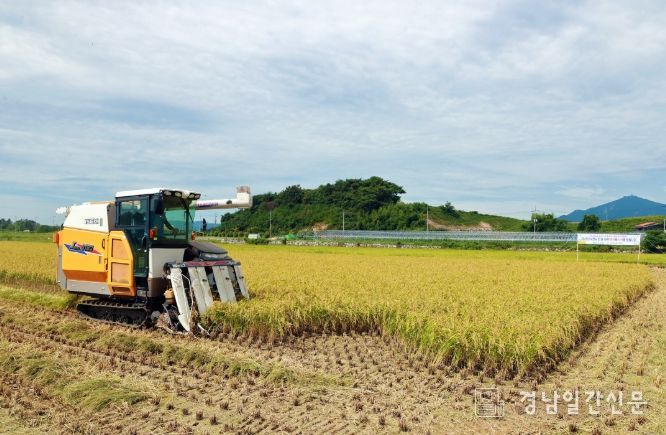 사천시, 2025년 첫 벼 수확 시작
