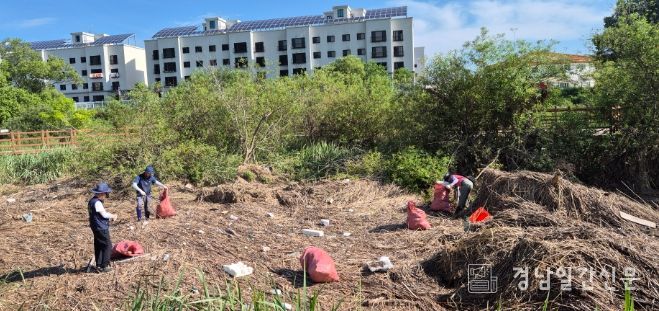 천군 환경생태해설사협회, 정양늪 환경정화활동