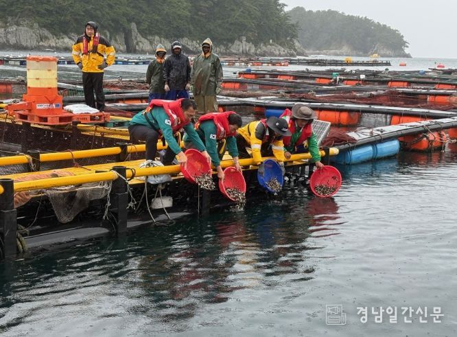 고수온 특보 발효해역 양식어류 긴급방류