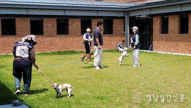 시민과 반려동물이 함께하는 생명존중교육 및 맞춤형 돌봄교육 제공