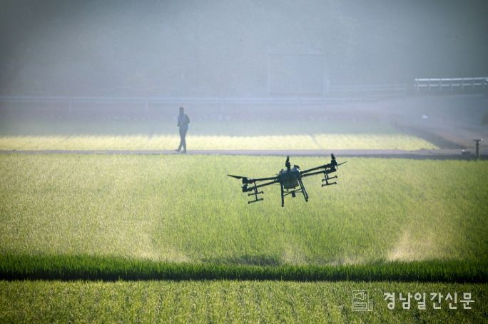 사천시, 벼 병해충 2차 공동방제 실시