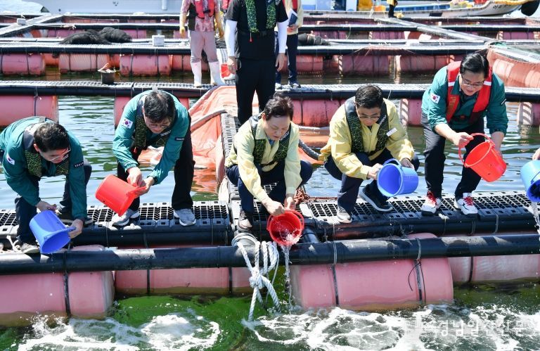 거제시, 고수온 대응 선제조치‘긴급방류’
