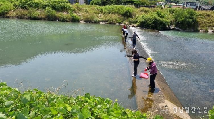 남해군, 2025년 내수면 수산종자 방류사업 마무리 = 삼동면 화천