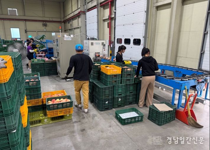 의성군제공 의성군 과수거점APC